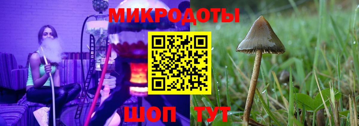 Псилоцибиновые грибы Psilocybe Шелехов